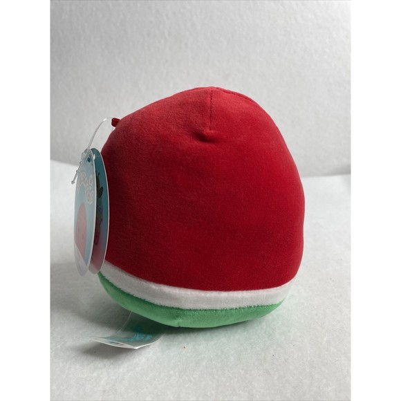 NWT Winsey the Watermelon 🍉 5” Squishmallow - Picture 4 of 10